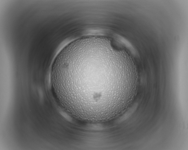 X0000114001370200910091354