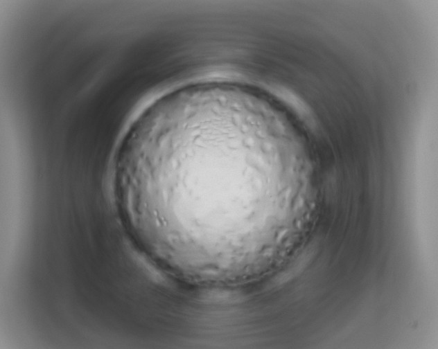 X0000114001374200910091354
