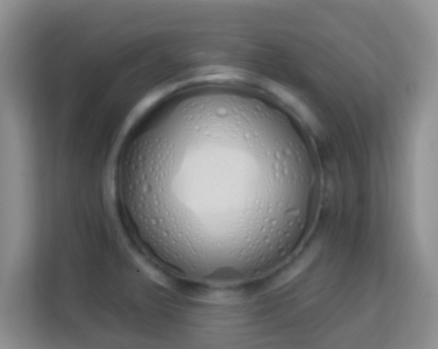 X0000114001375200910091354