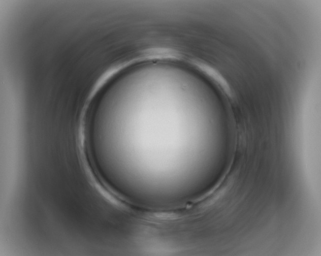 X0000114001383200910091354