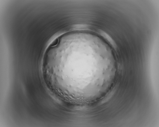 X0000114001386200910091354