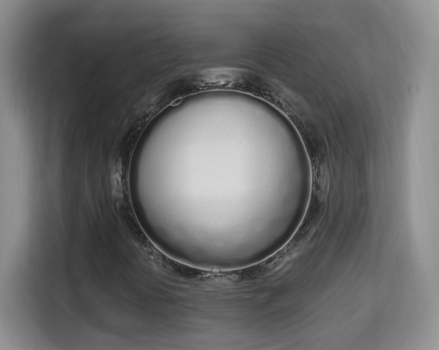 X0000114001394200910091353