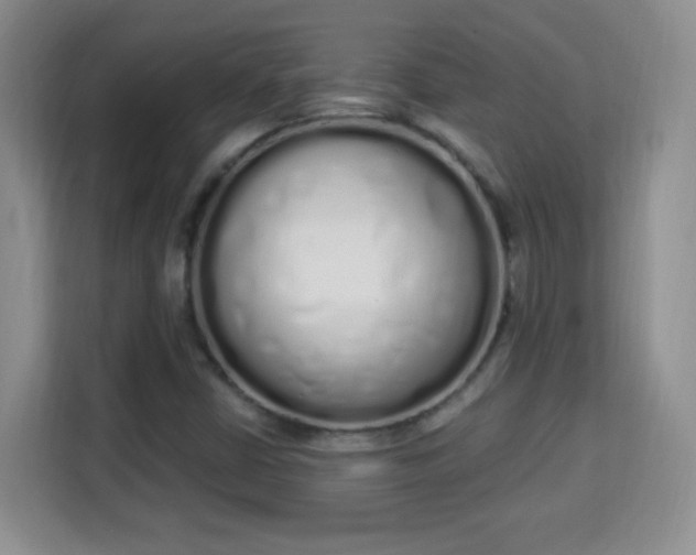 X0000114001402200910091353