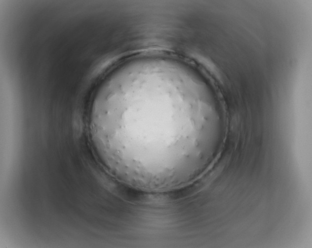 X0000114001407200910091353