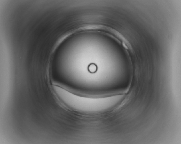 X0000114001417200910091353