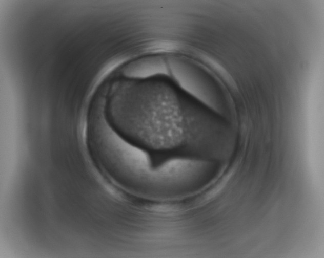 X0000114001418200910091353