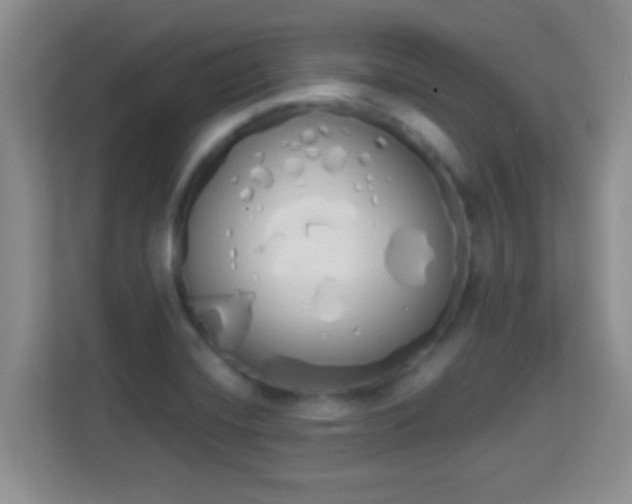 X0000114001420200910091353