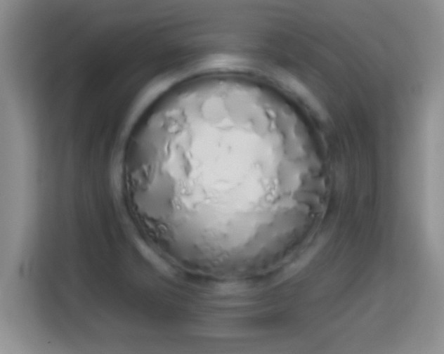 X0000114001421200910091354