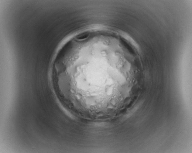 X0000114001429200910091354
