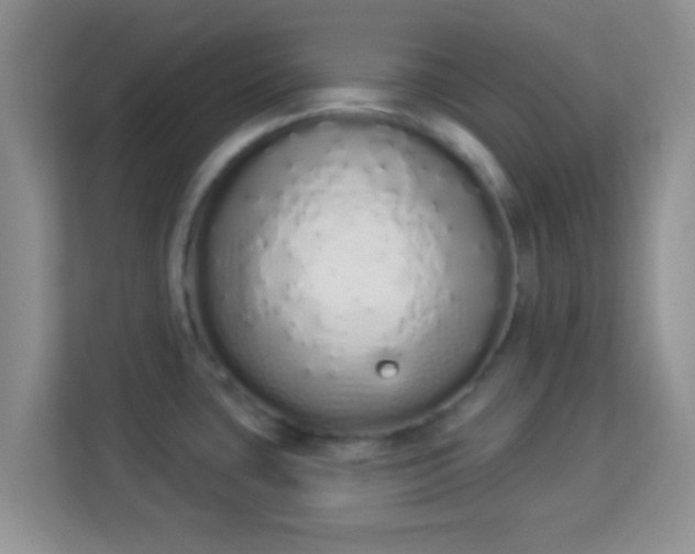 X0000114001435200910091354