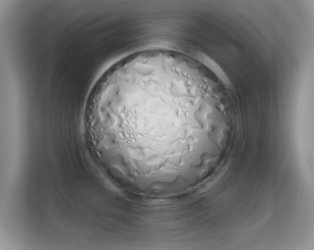 X0000114001436200910091354