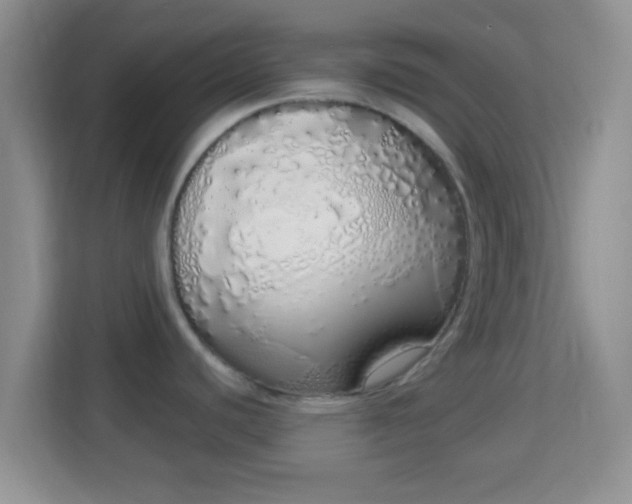 X0000114001440200910091354