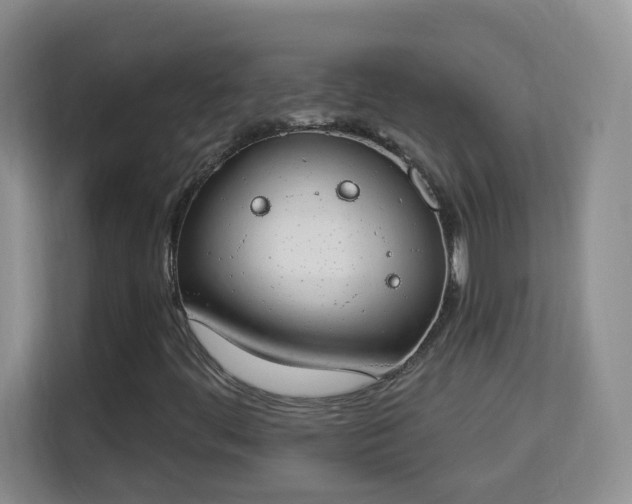 X0000114001444200910091353