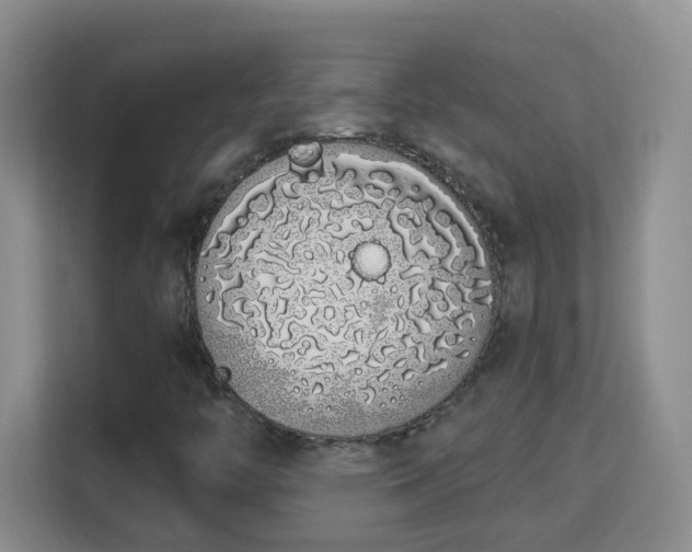 X0000114001446200910091353