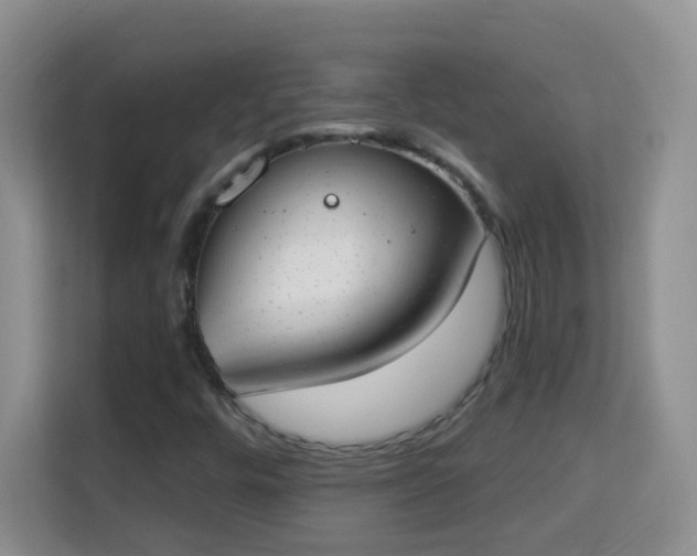X0000114001448200910091353