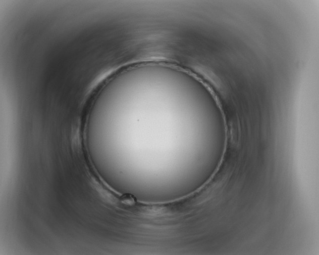 X0000114001452200910091353
