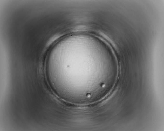 X0000114001453200910091353