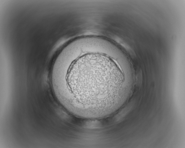 X0000114001454200910091353