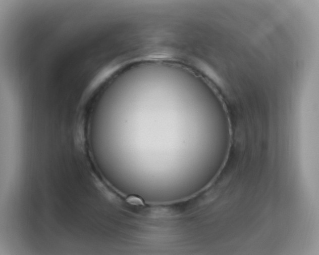 X0000114001456200910091353