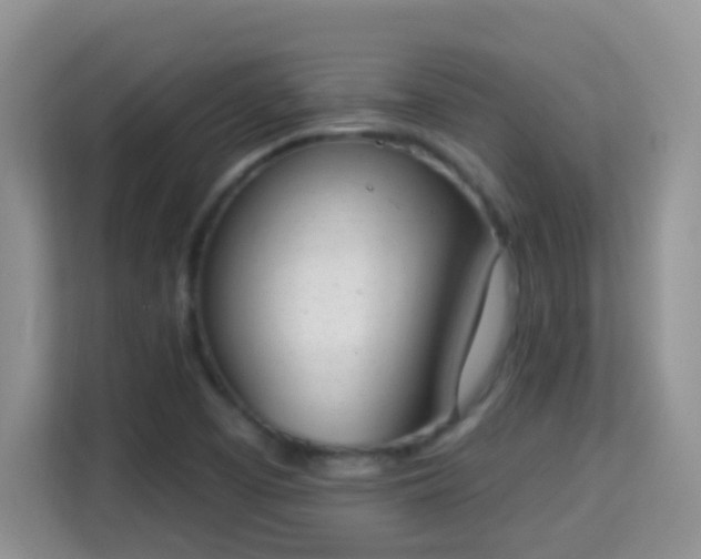 X0000114001457200910091353