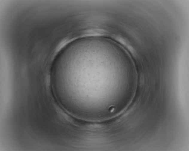 X0000114001459200910091353