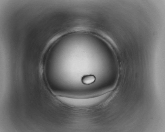 X0000114001461200910091353