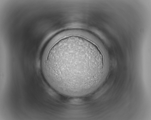 X0000114001462200910091353