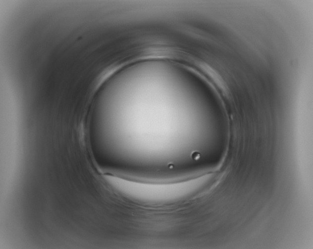 X0000114001465200910091353