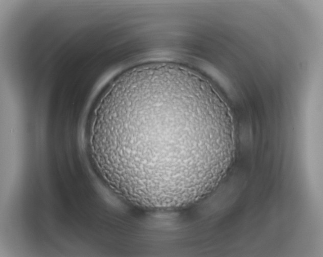 X0000114001466200910091353