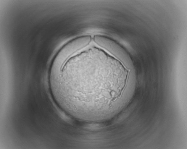 X0000114001470200910091353