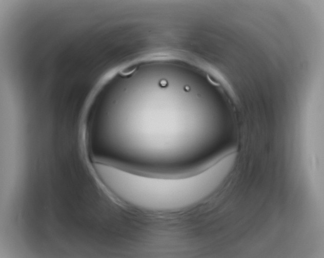 X0000114001472200910091353