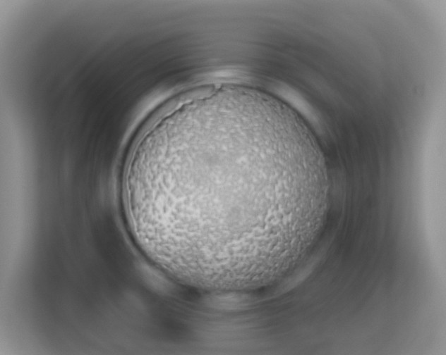 X0000114001474200910091353