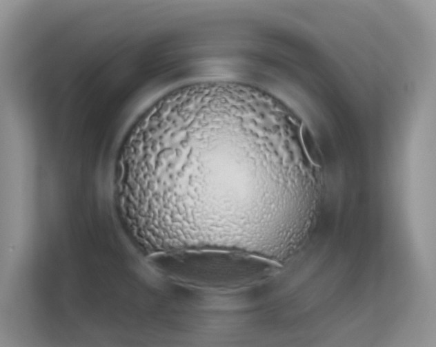 X0000114001477200910091353