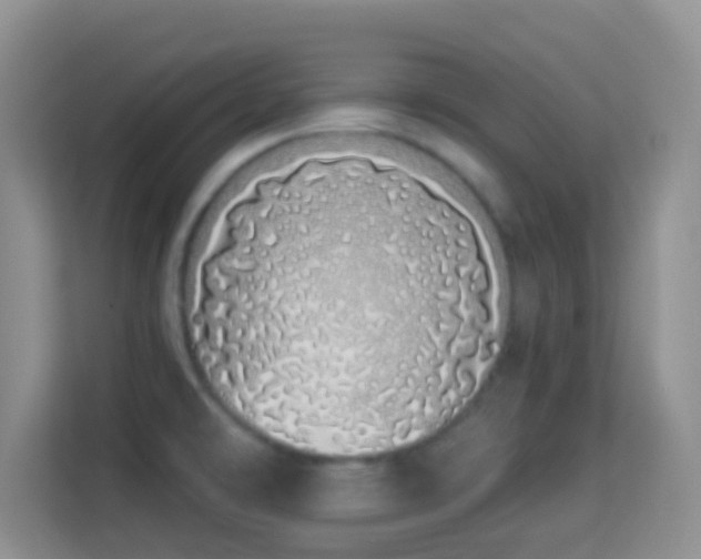 X0000114001478200910091353