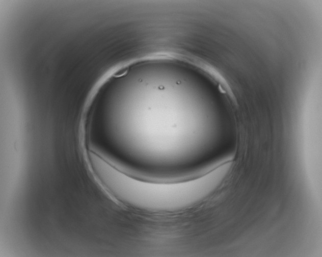 X0000114001480200910091353
