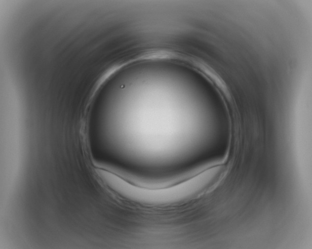 X0000114001481200910091353