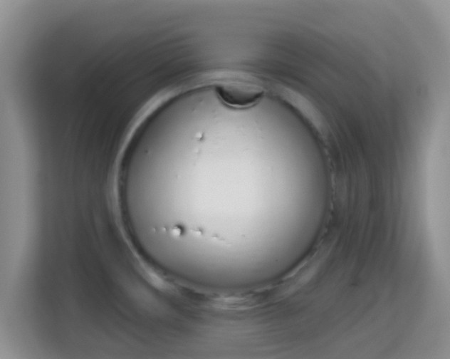 X0000114001482200910091353