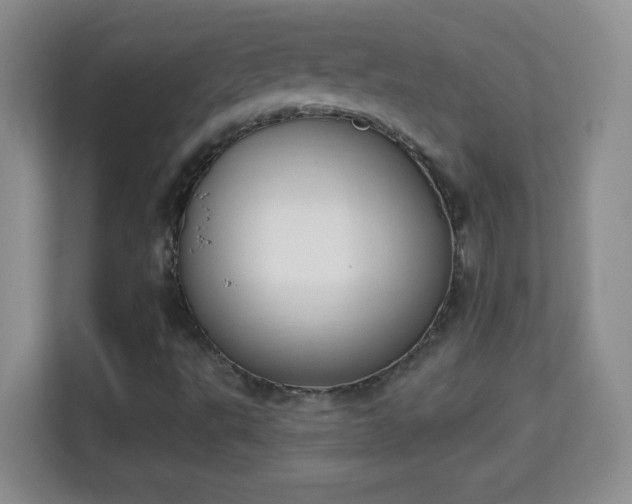 X0000114001495200910091352