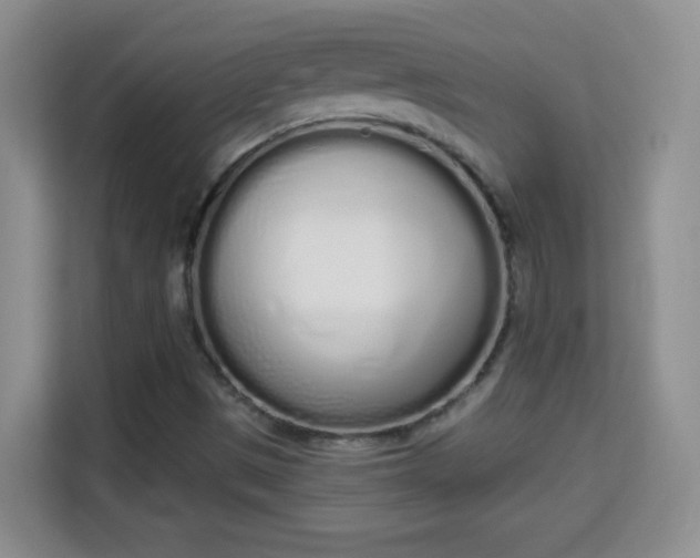 X0000114001497200910091352