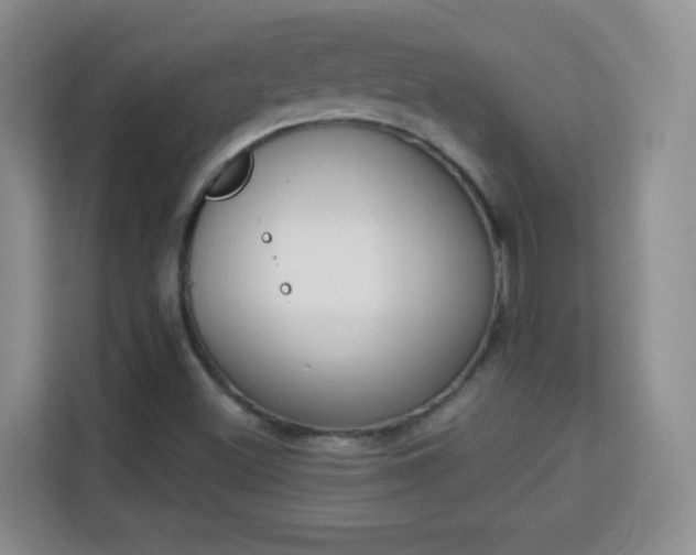 X0000114001500200910091352