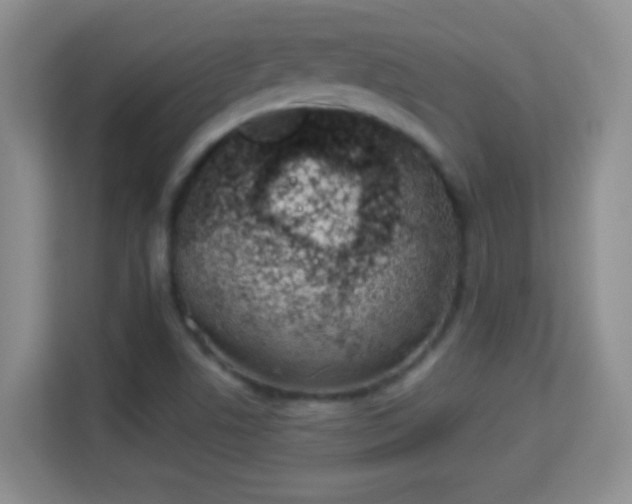 X0000114001506200910091352