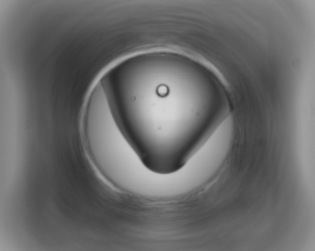 X0000114001516200910091352