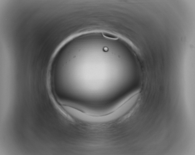 X0000114001518200910091352
