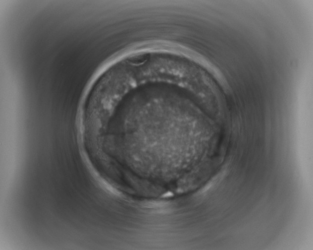X0000114001522200910091352