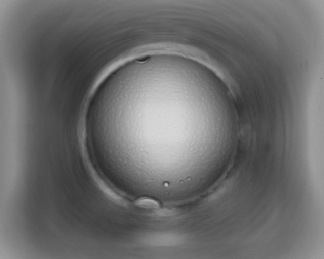X0000114001523200910091352