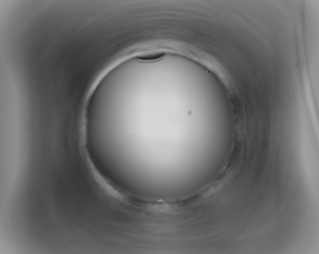 X0000114001524200910091352