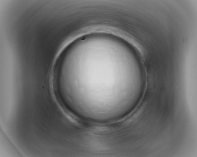 X0000114001525200910091352