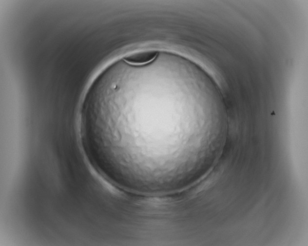 X0000114001527200910091352