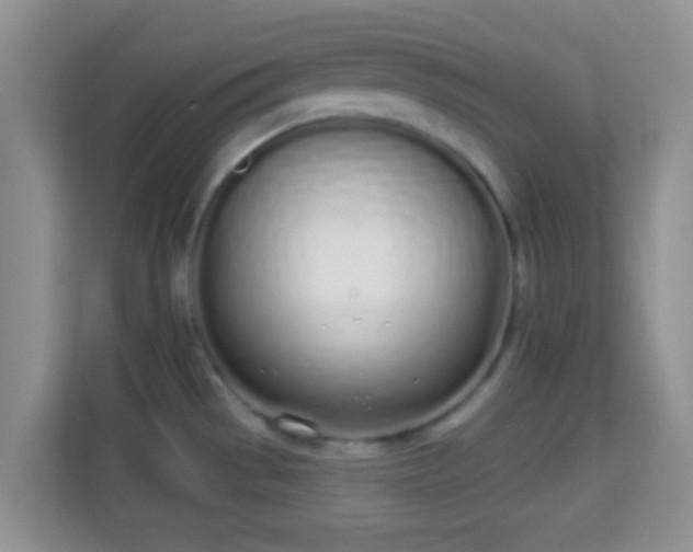 X0000114001529200910091352