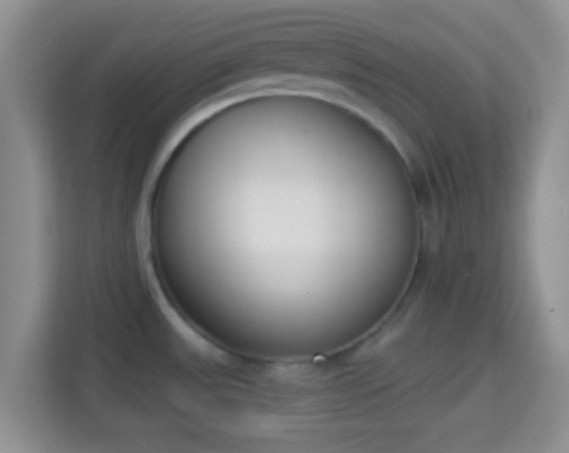 X0000114001531200910091352
